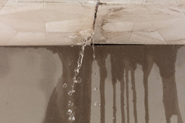 Professional Burst Pipe Cleanup technician working in Mize, MS